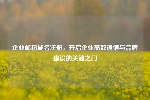 企业邮箱域名注册，开启企业高效通信与品牌建设的关键之门