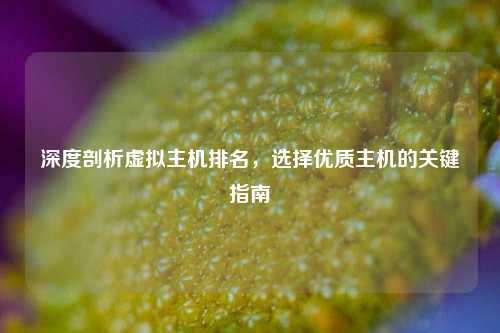 详细阅读:深度剖析虚拟主机排名,选择优质主机的关键指南 深度剖析虚拟主机排名,选择优质主机的关键指南