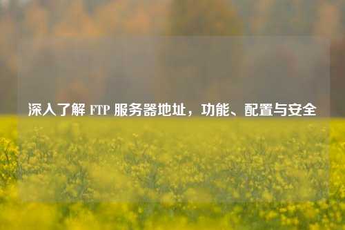 深入了解 FTP 服务器地址，功能、配置与安全