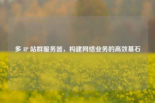 多 IP 站群服务器，构建网络业务的高效基石