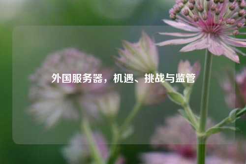 外国服务器，机遇、挑战与监管