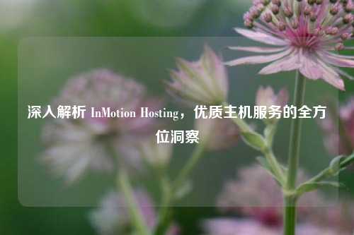 深入解析 InMotion Hosting，优质主机服务的全方位洞察