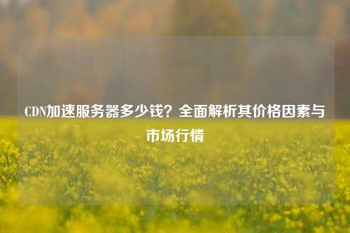 CDN加速服务器多少钱？全面解析其价格因素与市场行情