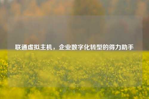 联通虚拟主机，企业数字化转型的得力助手