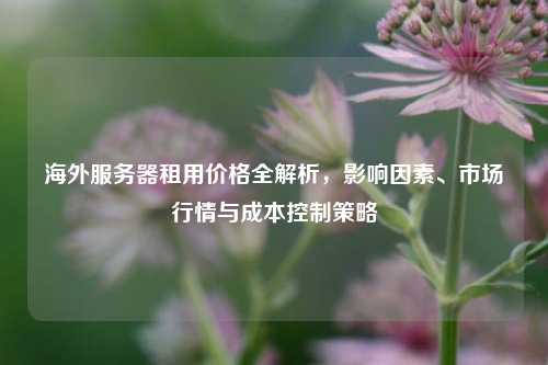 海外服务器租用价格全解析，影响因素、市场行情与成本控制策略