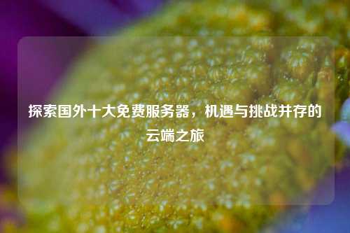 探索国外十大免费服务器，机遇与挑战并存的云端之旅