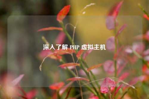 深入了解 PHP 虚拟主机