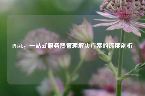 Plesk，一站式服务器管理解决方案的深度剖析