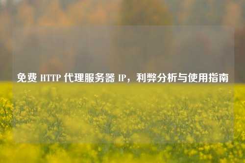 免费 HTTP 代理服务器 IP，利弊分析与使用指南
