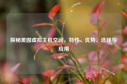 探秘美国虚拟主机空间，特性、优势、选择与应用