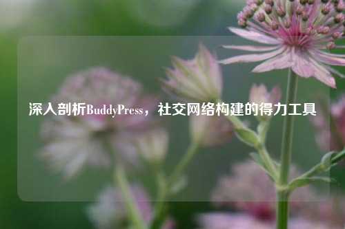 深入剖析BuddyPress，社交网络构建的得力工具