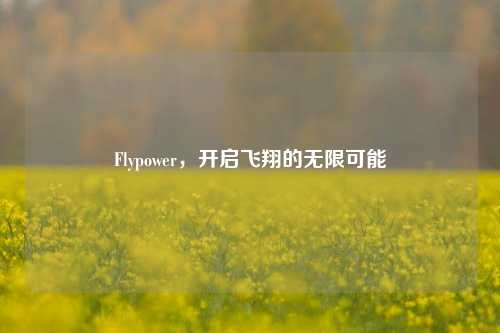 Flypower，开启飞翔的无限可能