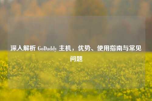 深入解析 GoDaddy 主机，优势、使用指南与常见问题