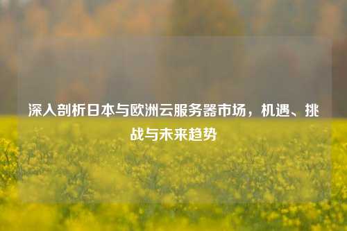 深入剖析日本与欧洲云服务器市场，机遇、挑战与未来趋势