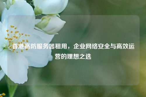香港高防服务器租用，企业网络安全与高效运营的理想之选