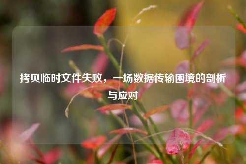拷贝临时文件失败，一场数据传输困境的剖析与应对