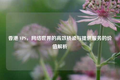 香港 VPS，网络世界的高效桥梁与提供服务的价值解析