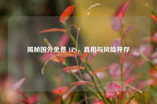 揭秘国外免费 VPS，真相与风险并存