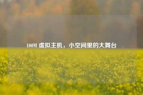 100M 虚拟主机，小空间里的大舞台