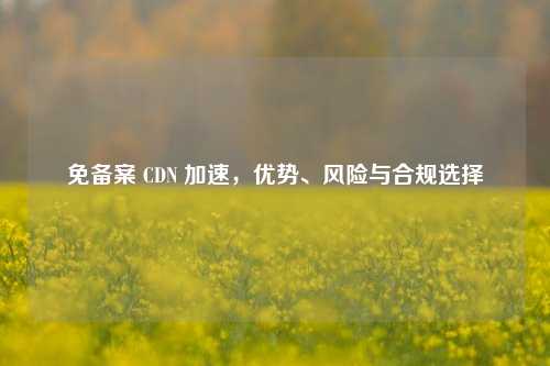 免备案 CDN 加速，优势、风险与合规选择