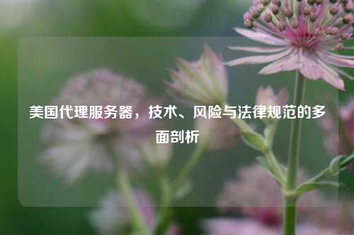 美国代理服务器，技术、风险与法律规范的多面剖析