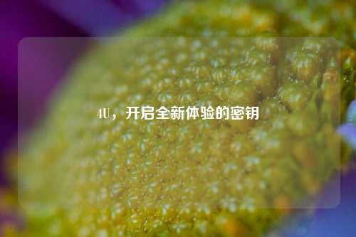 4U，开启全新体验的密钥