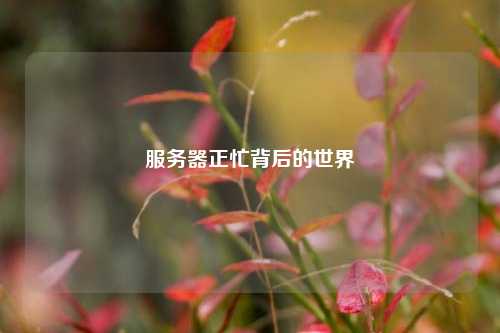 服务器正忙背后的世界