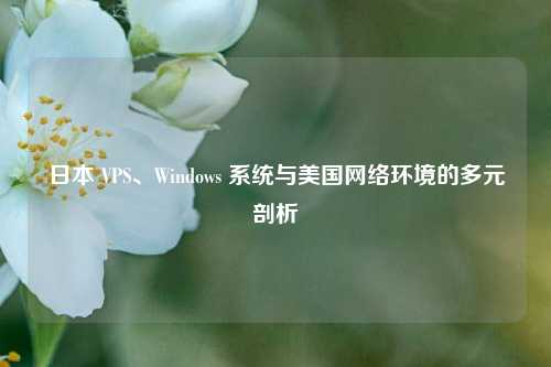 日本 VPS、Windows 系统与美国网络环境的多元剖析