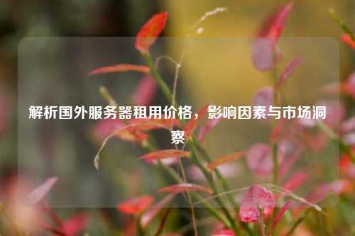 解析国外服务器租用价格，影响因素与市场洞察