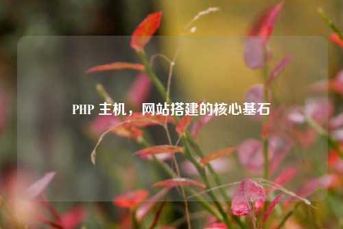 PHP 主机，网站搭建的核心基石