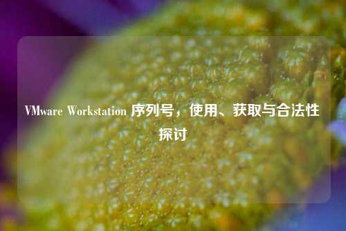 VMware Workstation 序列号，使用、获取与合法性探讨