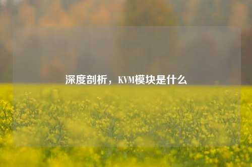 详细阅读:深度剖析,KVM模块是什么 深度剖析,KVM模块是什么