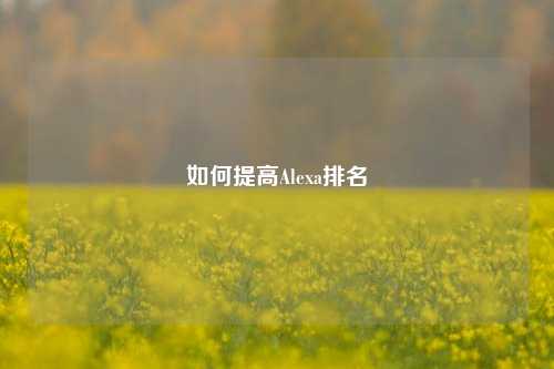 如何提高Alexa排名