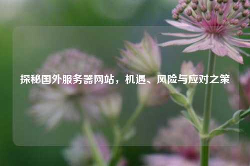 探秘国外服务器网站，机遇、风险与应对之策