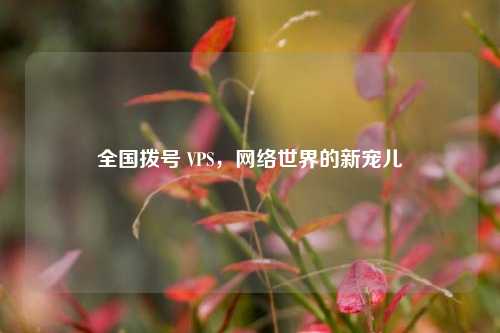 全国拨号 VPS，网络世界的新宠儿