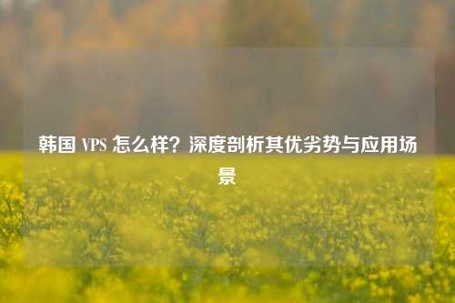 韩国 VPS 怎么样？深度剖析其优劣势与应用场景