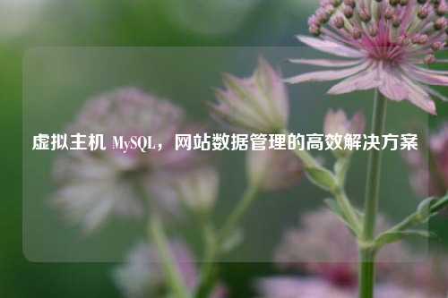 详细阅读:虚拟主机 MySQL,网站数据管理的高效解决方案 虚拟主机 MySQL,网站数据管理的高效解决方案