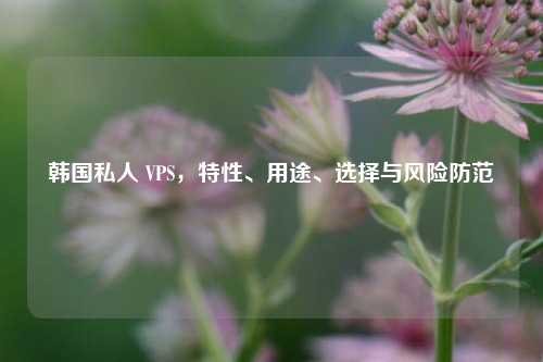 详细阅读:韩国私人 VPS,特性、用途、选择与风险防范 韩国私人 VPS,特性、用途、选择与风险防范