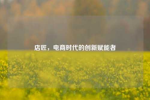 店匠，电商时代的创新赋能者