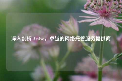 深入剖析 Arvixe，卓越的网络托管服务提供商