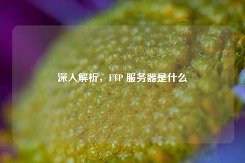 深入解析，FTP 服务器是什么