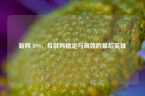 新网 DNS，互联网稳定与高效的幕后英雄