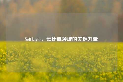 SoftLayer，云计算领域的关键力量