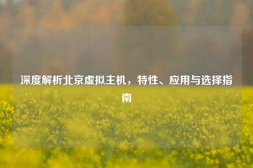 深度解析北京虚拟主机，特性、应用与选择指南