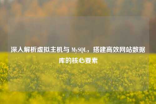 深入解析虚拟主机与 MySQL，搭建高效网站数据库的核心要素