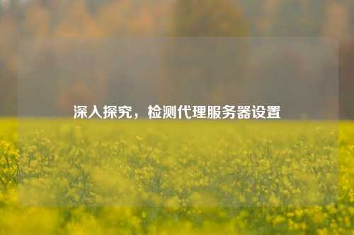 深入探究，检测代理服务器设置