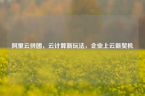 阿里云拼团，云计算新玩法，企业上云新契机