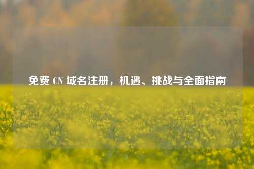 详细阅读:免费 CN 域名注册,机遇、挑战与全面指南 免费 CN 域名注册,机遇、挑战与全面指南