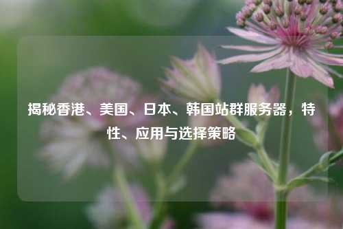 揭秘香港、美国、日本、韩国站群服务器，特性、应用与选择策略