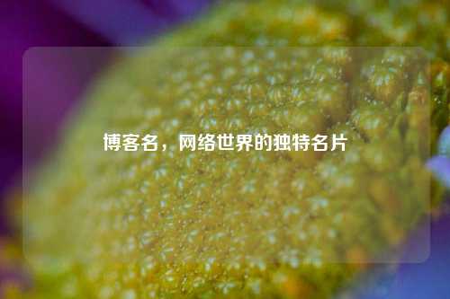 详细阅读:博客名,网络世界的独特名片 博客名,网络世界的独特名片